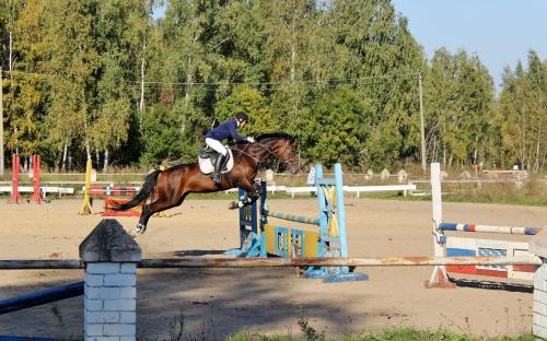 Соревнования по троеборью (на открытом грунте) Кубок Черноземья 2017 года