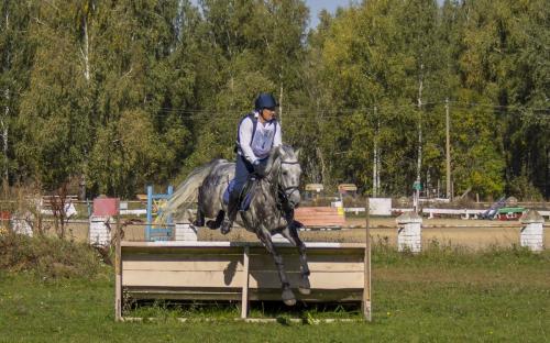 Кубок Черноземья по выездке и конкуру 2017 года